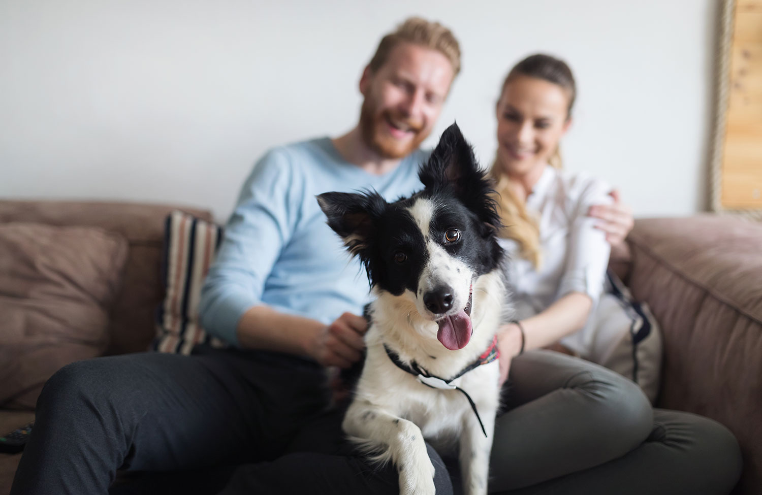 Couple with their dog looking at camera