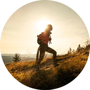 Plan Sponsor Account Access Image